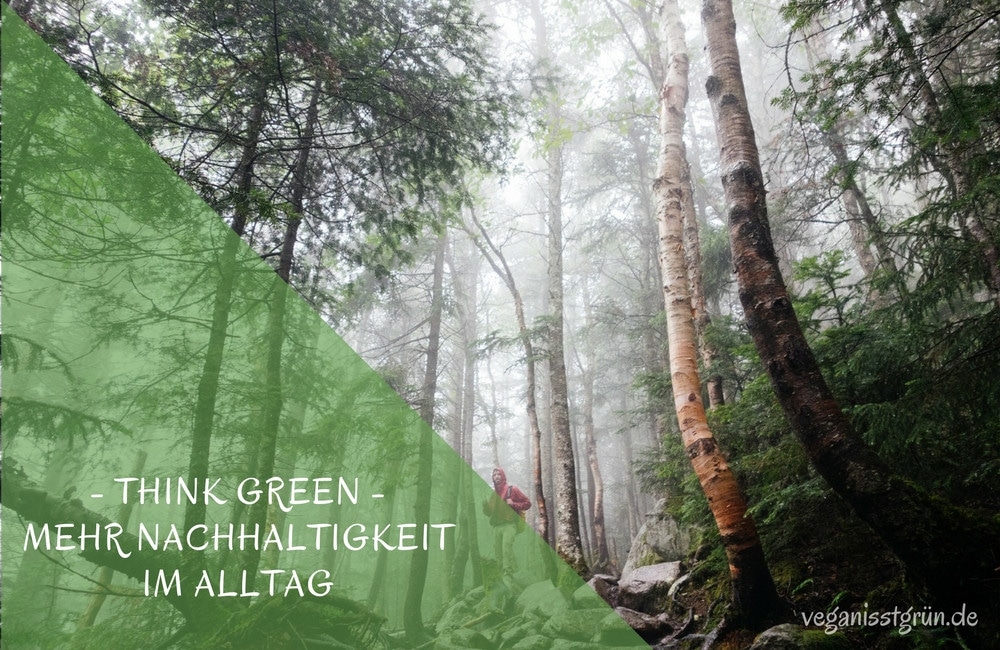 think green mehr nachhaltigkeit im Alltag
